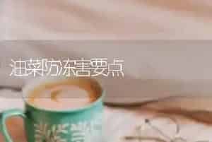 油菜防冻害要点