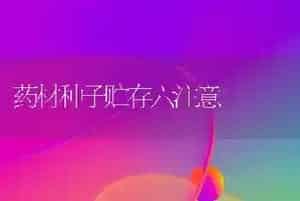药材种子贮存六注意