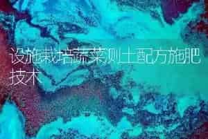 设施栽培蔬菜测土配方施肥技术