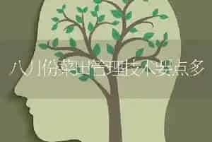 八月份菜田管理技术要点多