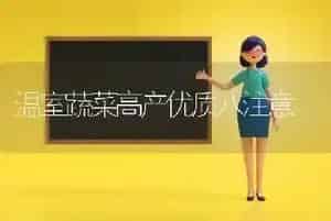 温室蔬菜高产优质八注意
