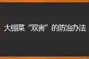 大棚菜“双害”的防治办法