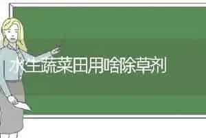 水生蔬菜田用啥除草剂
