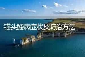锚头鳋病症状及防治方法