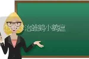 怎样诊治雏鹅小鹅瘟