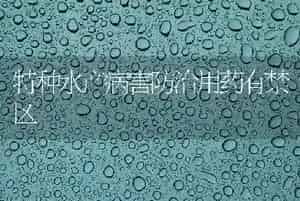 特种水产病害防治用药有禁区