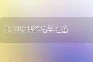 秋冬暖棚养猪早准备