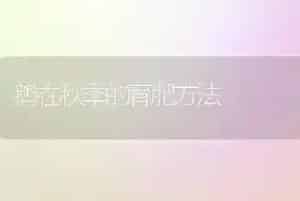 鹅在秋季的育肥方法