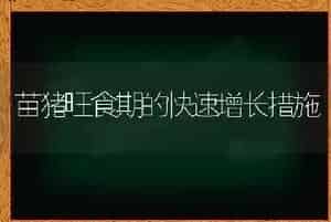 苗猪旺食期的快速增长措施