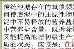 水产养殖池塘底质与溶氧管理