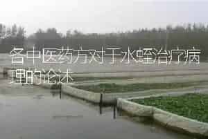 各中医药方对于水蛭治疗病理的论述