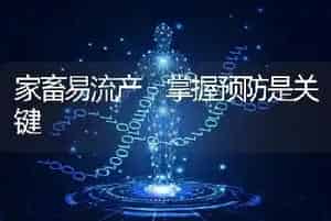家畜易流产 掌握预防是关键