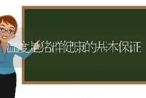 温度是猪群健康的基本保证