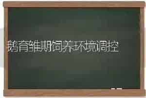 鹅育雏期饲养环境调控