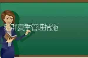 鹅群夏季管理措施