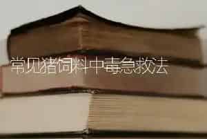 常见猪饲料中毒急救法