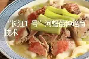 “长江1号”河蟹苗种培育技术