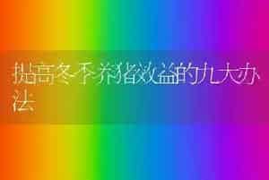 提高冬季养猪效益的九大办法