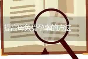 提高母兔受孕率的方法