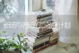 新场与老场的后备猪计划