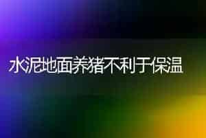 水泥地面养猪不利于保温