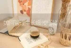 如何管理生长缓慢仔猪