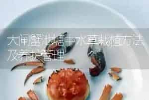 大闸蟹池塘中水草栽植方法及养护管理