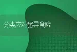 分类应对猪异食癖