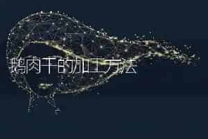 鹅肉干的加工方法