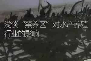 浅谈“禁养区”对水产养殖行业的影响