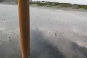 如何合理育肥压黄增加河蟹规格