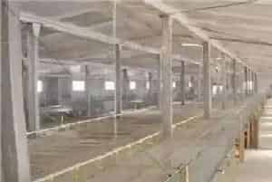 蛋鸡鸡舍建造怎么做？注意事项