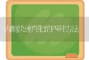 肉鹅快速育肥的四种方法
