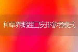种草养鹅茬口安排参考模式