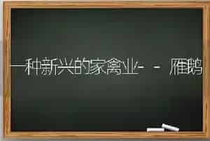 一种新兴的家禽业--雁鹅