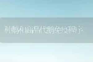 种鹅和商品代鹅免疫程序