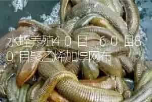 水蛭养殖40目 60目80目聚乙烯加厚网布