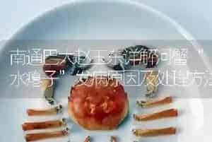南通巴大赵玉东详解河蟹“水瘪子”发病原因及处理方法