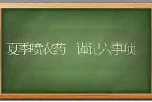生产肥肝鹅的管理