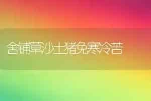 舍铺草沙土猪免寒冷苦