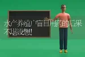 水产养殖户盲目用药的后果不堪设想！