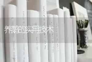 养鹅的实用技术