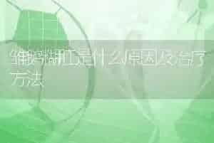 雏鹅糊肛是什么原因及治疗方法