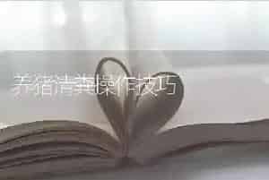养猪清粪操作技巧