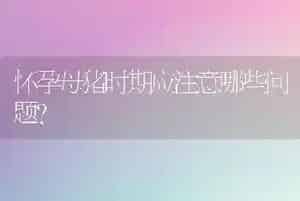 怀孕母猪时期应注意哪些问题?
