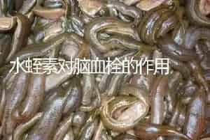 水蛭素对脑血栓的作用