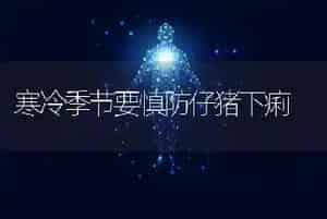 寒冷季节要慎防仔猪下痢