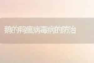 鹅的鸭瘟病毒病的防治