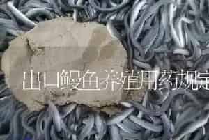 出口鳗鱼养殖用药规定