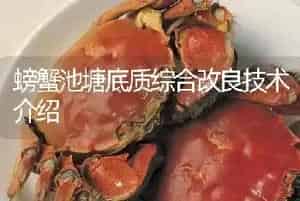 螃蟹池塘底质综合改良技术介绍